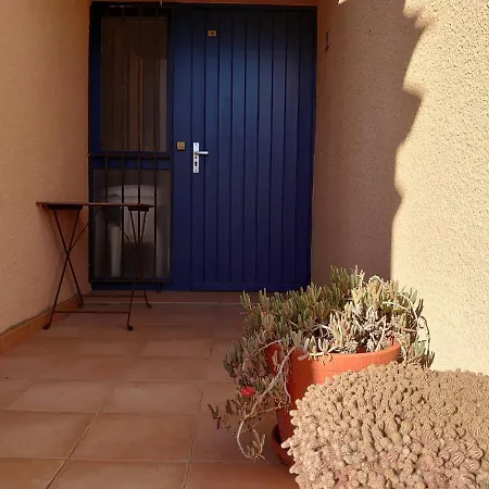 5rb14 Vue Et Proche * Collioure